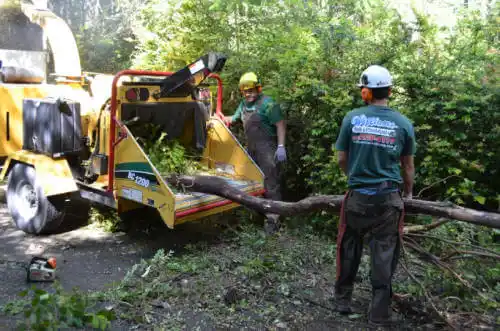 tree services Newton